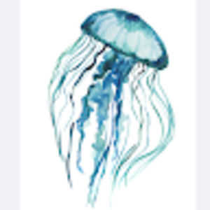 Meet your Posher, Zilla